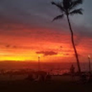 Meet your Posher, Google